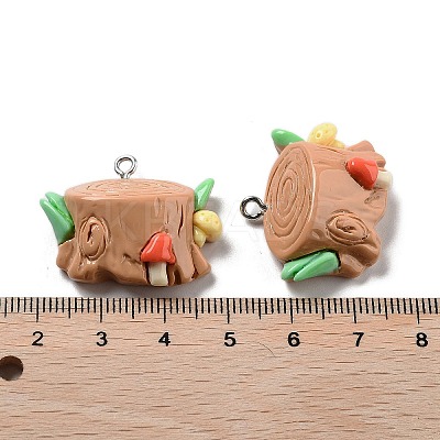 Spring Theme Opaque Resin Pendants RESI-R444-04B-1