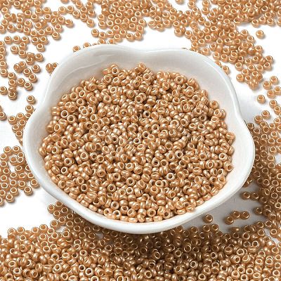 Baking Paint Glass Seed Beads SEED-P006-03A-24-1