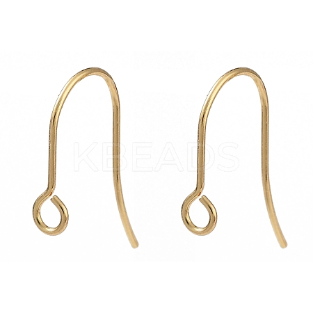 316 Surgical Stainless Steel Earring Hooks STAS-P162-13G-B01-1