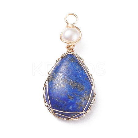 Natural Lapis Lazuli Copper Wire Wrapped Pendants PALLOY-JF01398-01-1