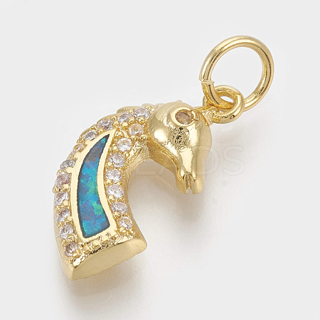 Brass Micro Pave Cubic Zirconia Charms ZIRC-Q018-049G-1