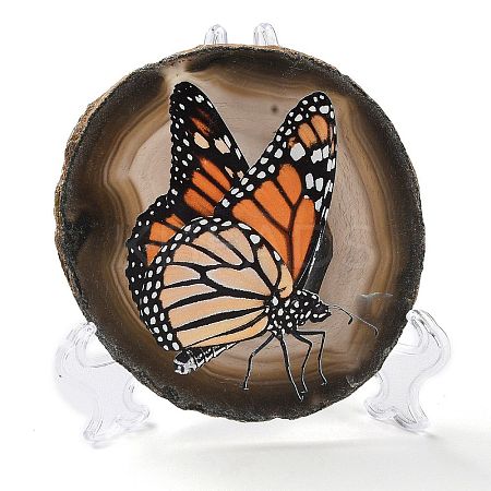 Printed Natural Agate Slice Stone Ornament DJEW-M011-03B-1