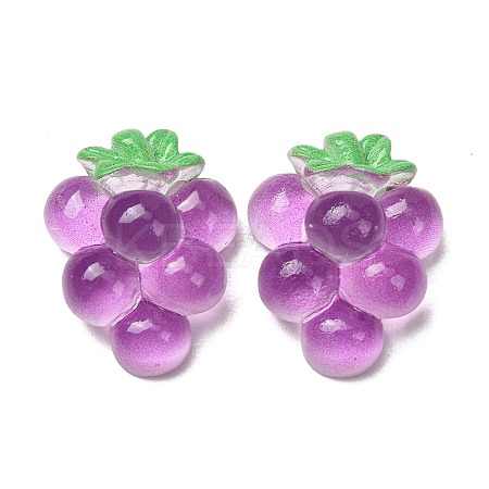 Fruit Theme Opaque Resin Imitation Food Cabochons RE-CBA49A8-03E-1