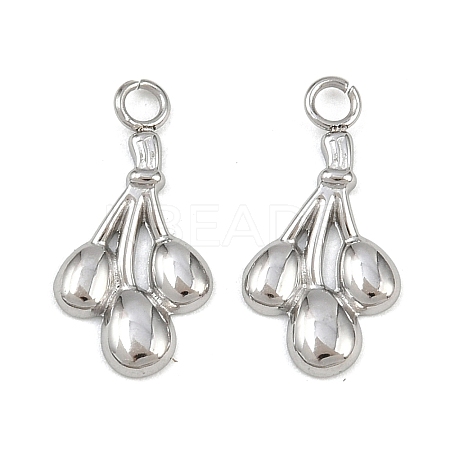 Fruit 304 Stainless Steel Charms STAS-H242-03P-05-1