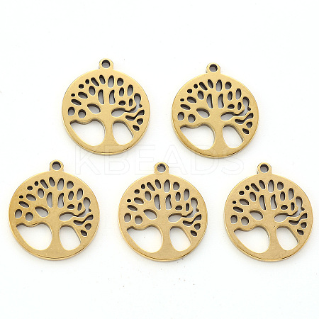304 Stainless Steel Pendants LS-X-STAS-N092-09G-1