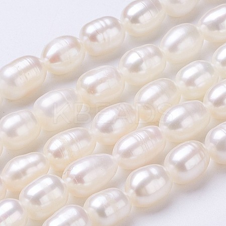 Grade AA Natural Cultured Freshwater Pearl Beads Strands PEAR-P002-41-1