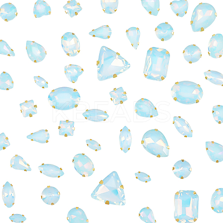 Glass Steel Claw Sew on Rhinestone FIND-WH20040-07G-02-1