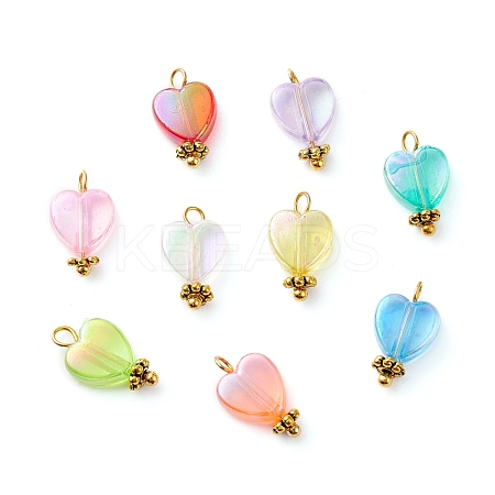Eco-Friendly Transparent Acrylic Charms PALLOY-JF00749-02-1