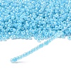 Glass Seed Beads SEED-A011-3mm-143-2