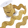 5 Yards Polyester Wavy Fringe Trim Ribbon OCOR-GF0003-45B-1