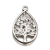 304 Stainless Steel Pendants STAS-M116-31P-2
