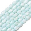 Dyed Natural Freshwater Shell Beads Strands SH-CBA2978-06C-1
