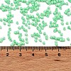 Baking Paint Glass Seed Beads SEED-S042-05B-59-4