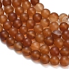Natural Carnelian Beads Strands LS-G-L642-G01-8mm-5