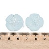 Frosted Transparent Acrylic Beads OACR-P029-19B-06-4