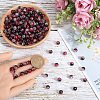 300Pcs Transparent Crackle Acrylic Beads CACR-SP0001-01C-3