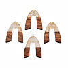 Transparent Resin & Walnut Wood Pendants RESI-N025-029-A01-2