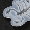 DIY Display Silicone Molds DIY-P074-07C-5