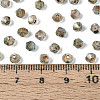 Picasso Glass Seed Beads SEED-N011-02C-4