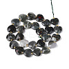 Natural African Bloodstone Beads Strands G-P592-B07-01-3
