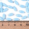 Opaque Colours Glass Seed Beads SEED-T007-16F-4
