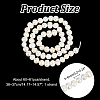  1 Strand Natural Cultured Freshwater Pearl Beads Strands PEAR-NB0002-21-2