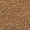 MIYUKI Round Rocailles Beads X-SEED-G007-RR0182-4