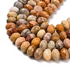 Natural Crazy Agate Beads Strands G-C259-A04-8x12mm-4