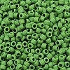 TOHO 6/0 Round Beads SEED-TR06-0047F-3