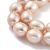 Natural Cultured Freshwater Pearl Beads Strands PEAR-P062-13D-4