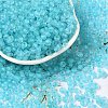 6/0 Luminous Glass Seed Beads SEED-NH0001-01N-2
