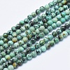 Natural African Turquoise(Jasper) Beads Strands G-E444-47-4mm-1