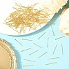 SHEGRACE Brass Flat Head Pins XGR0084G-32G-4