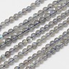 Natural Labradorite Round Bead Strands LS-G-M263-A-03-1