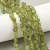 Raw Rough Natural Peridot Beads Strands G-M453-D12-1