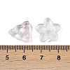 Gradient Color Transparent Glass Beads GLAA-B026-01G-3