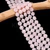 Natural Rose Quartz Beads Strands G-F812-C07-01-1