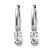 304 Stainless Steel Micro Pave Cubic Zirconia Hoop Earrings STAS-R004-07P-02-4