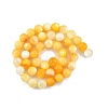 Natural Golden Yellow Shell Beads Strands SSHEL-G024-01D-2