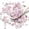 Natural Kunzite Beads X-G-Z099-A01-1
