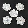 Natural White Shell Beads SHEL-M021-08B-2