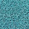 MIYUKI Delica Beads SEED-X0054-DB0427-3