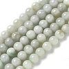 Natural Myanmar Jadeite Beads Strands G-L595-C01-01A-1