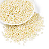 Opaque Colours Luster Glass Seed Beads SEED-T006-02K-3