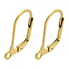 Ion Plating(IP) 304 Stainless Steel Leverback Earring Findings X-STAS-P360-02B-G-1