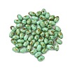 60Pcs 10G Baking Paint Picasso Glass Seed Beads GLAA-V001-06A-1