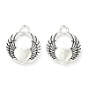 Tibetan Style Alloy Pendants FIND-B050-24AS-01-1