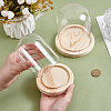 2Pcs 2 Styles Glass Dome Cover AJEW-NB0007-93-3
