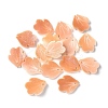 Natural Sea Shell Carved Leaf Charms SSHEL-C013-02C-1