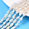 Natural Baroque Pearl Keshi Pearl Beads Strands X1-PEAR-S020-F10-01-1